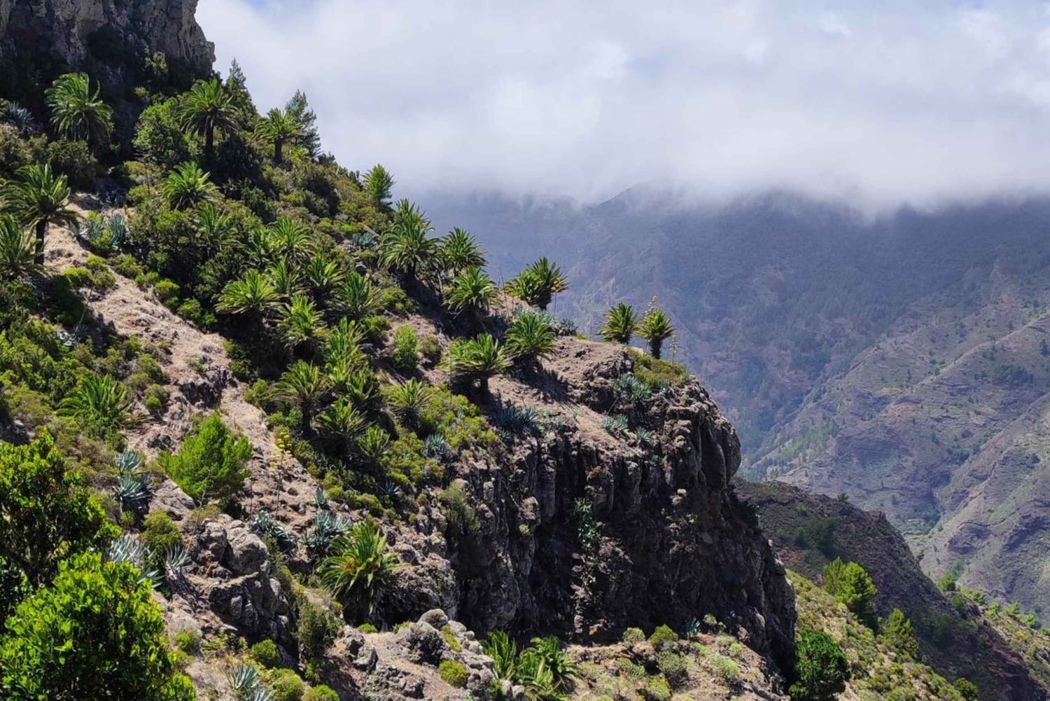 Private day tour of Tenerife