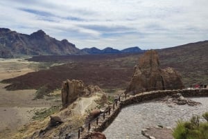 Private day tour of Tenerife