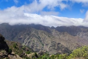 Private day tour of Tenerife