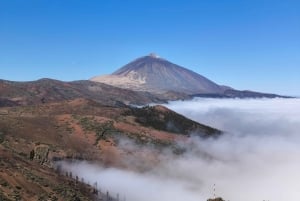 Private day tour of Tenerife