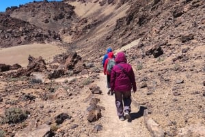 Private day tour of Tenerife