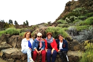 Private day tour of Tenerife
