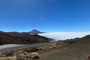 Private excursions for cruise-ship passengers