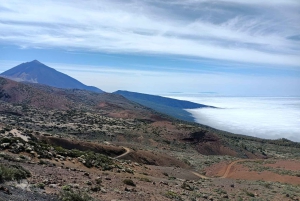 Private excursions for cruise-ship passengers