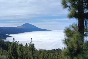 Private excursions for cruise-ship passengers