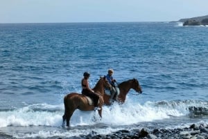 Tenerife South: Private Horseback Riding to the Coast