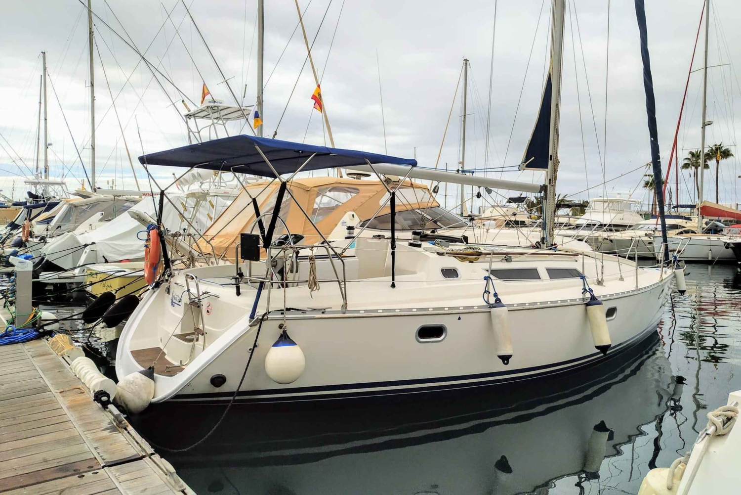 Prywatny czarter żaglówki - wycieczka przybrzeżna z nurkowaniem w zatoce