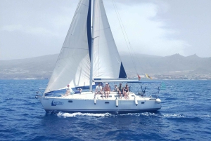 Prywatny czarter żaglówki - wycieczka przybrzeżna z nurkowaniem w zatoce