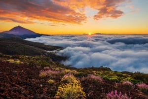 Tenerife: Teide-Masca-Garachico + Sunset Exclusive Tour