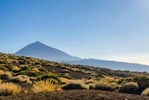 Частный тур по Тейде и северу Тенерифе: вулкан, долины и старые города