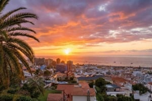 Частный тур по Тейде и северу Тенерифе: вулкан, долины и старые города