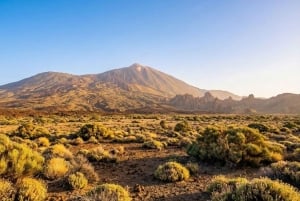 Частный тур по Тейде и северу Тенерифе: вулкан, долины и старые города