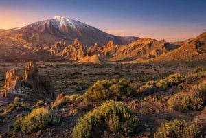 Частный тур по Тейде и северу Тенерифе: вулкан, долины и старые города