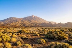 Частный тур по Тейде и северу Тенерифе: вулкан, долины и старые города