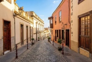 Частный тур по Тейде и северу Тенерифе: вулкан, долины и старые города