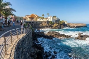 Частный тур по Тейде и северу Тенерифе: вулкан, долины и старые города