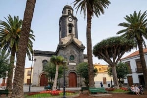 Частный тур по Тейде и северу Тенерифе: вулкан, долины и старые города