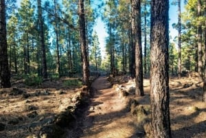 Частный тур по Тейде и северу Тенерифе: вулкан, долины и старые города