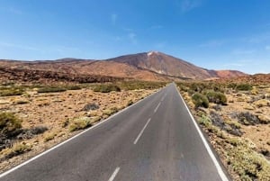 Частный тур по Тейде и северу Тенерифе: вулкан, долины и старые города