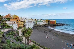 Частный тур по Тейде и северу Тенерифе: вулкан, долины и старые города