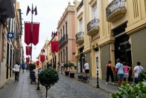 Частный тур по Тейде и северу Тенерифе: вулкан, долины и старые города