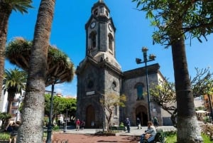 Частный тур по Тейде и северу Тенерифе: вулкан, долины и старые города