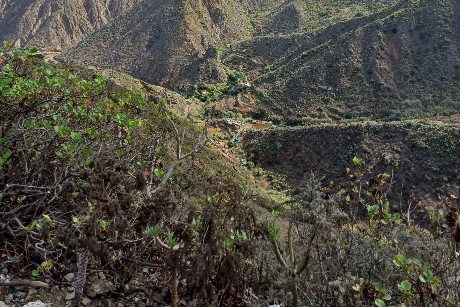 Privat tur på Teneriffa: Anaga, Taganana, Benijo och La Laguna