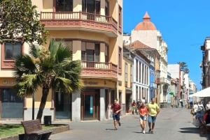 Private Tour Tenerife: Anaga, Taganana, Benijo & La laguna