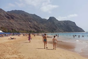 Private Tour Tenerife: Anaga, Taganana, Benijo & La laguna