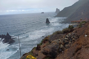 Private Tour Tenerife: Anaga, Taganana, Benijo & La laguna