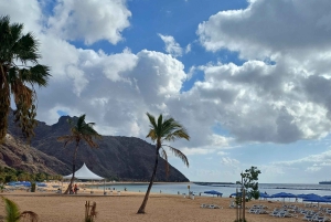 Privat tur på Teneriffa: Anaga, Taganana, Benijo och La Laguna