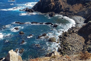 Privat tur på Teneriffa: Anaga, Taganana, Benijo och La Laguna