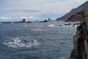 Privat tur på Teneriffa: Anaga, Taganana, Benijo och La Laguna