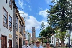 Privat tur på Teneriffa: Anaga, Taganana, Benijo och La Laguna