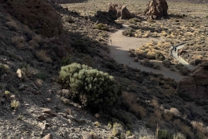 Privat tur på Tenerife: Teide Nationalpark + restaurant