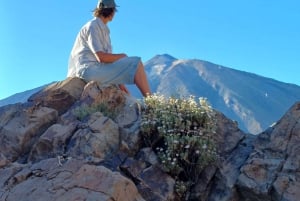 Privat tur på Tenerife: Teide Nationalpark + restaurant