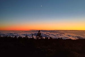 Privat tur på Tenerife: Teide Nationalpark + restaurant