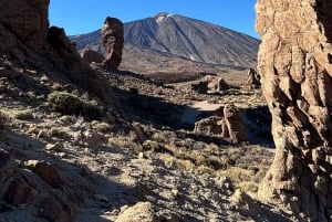 Privat tur på Tenerife: Teide Nationalpark + restaurant