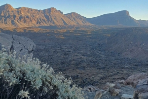 Privat tur på Tenerife: Teide Nationalpark + restaurant