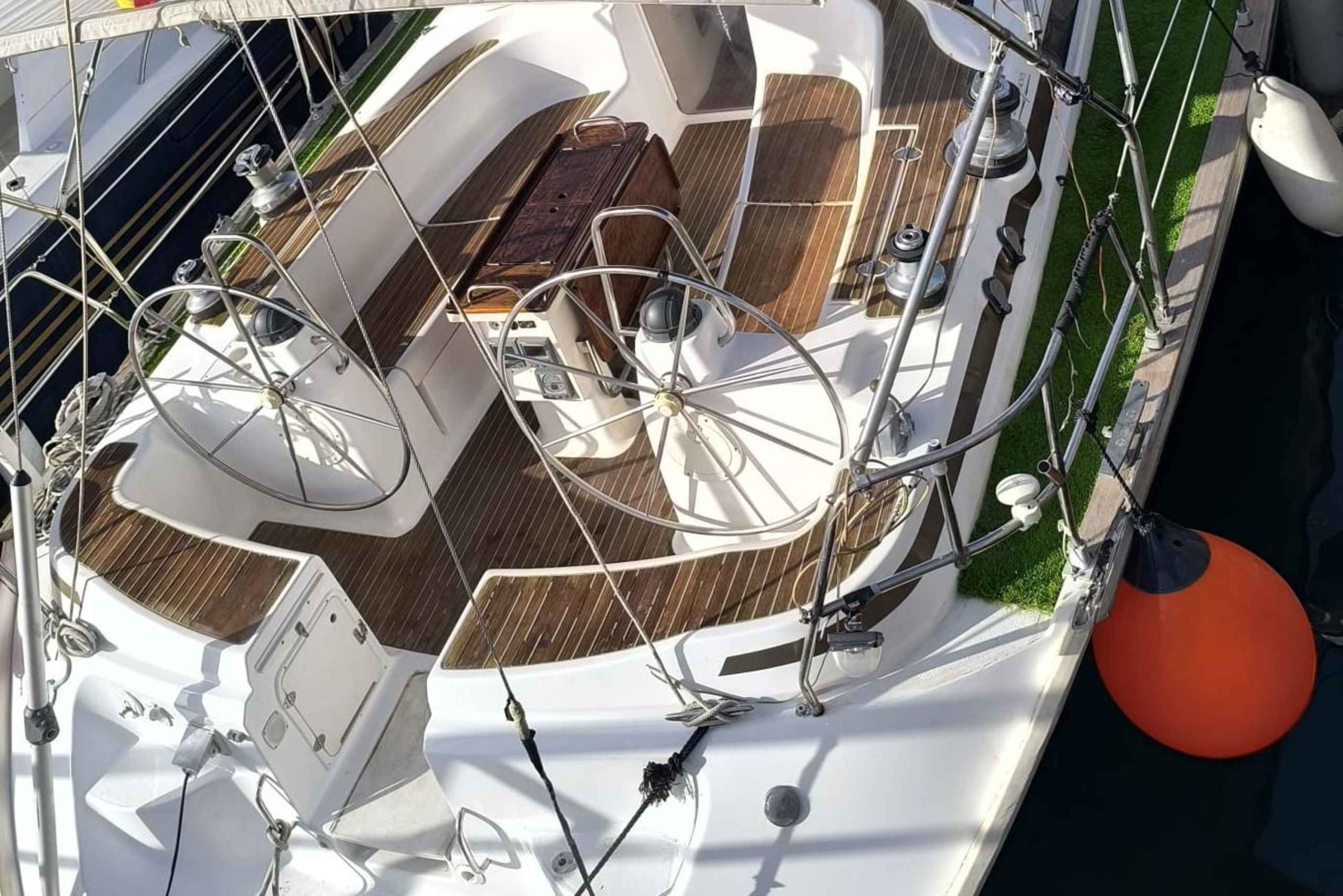 Excursão privada para baleias e golfinhos: só para ti!