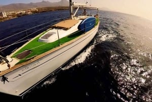 Excursão privada para baleias e golfinhos: só para ti!