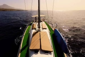 Excursão privada para baleias e golfinhos: só para ti!