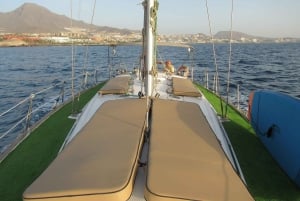 Excursão privada para baleias e golfinhos: só para ti!