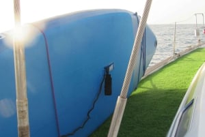 Excursão privada para baleias e golfinhos: só para ti!