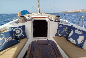 Excursão privada para baleias e golfinhos: só para ti!