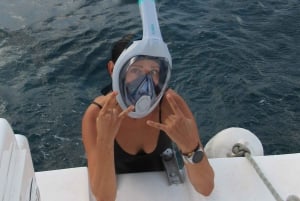 Excursão privada para baleias e golfinhos: só para ti!