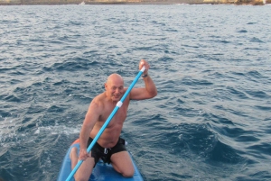 Excursão privada para baleias e golfinhos: só para ti!