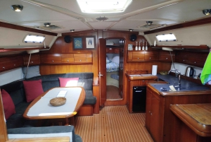 Excursão privada para baleias e golfinhos: só para ti!