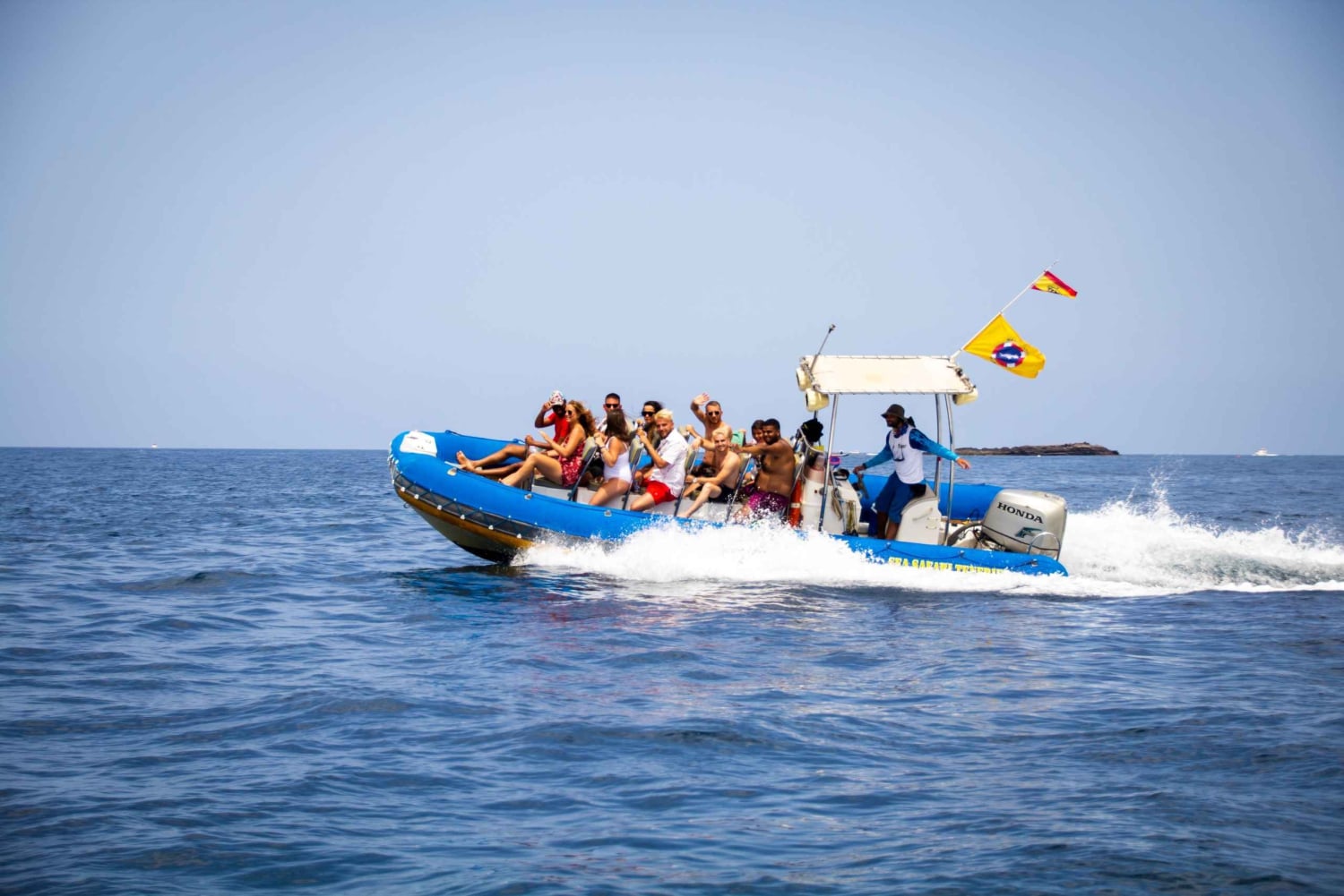 Puerto Colon: Dolfijn en walvistour Speedboat Cruise