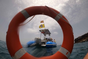 Puerto Colon: Dolfijn en walvistour Speedboat Cruise